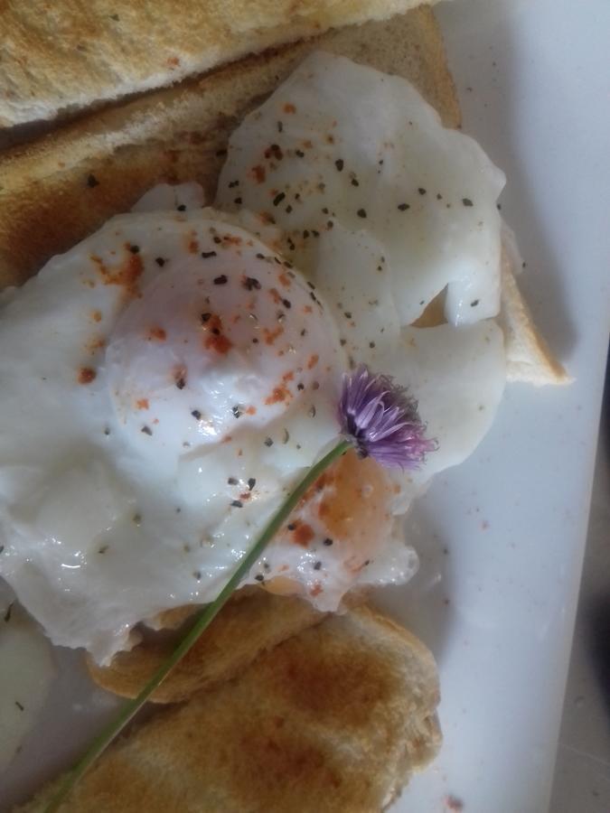 Westhouse Cafe N39 E0A6 Bed and Breakfast Longford Buitenkant foto